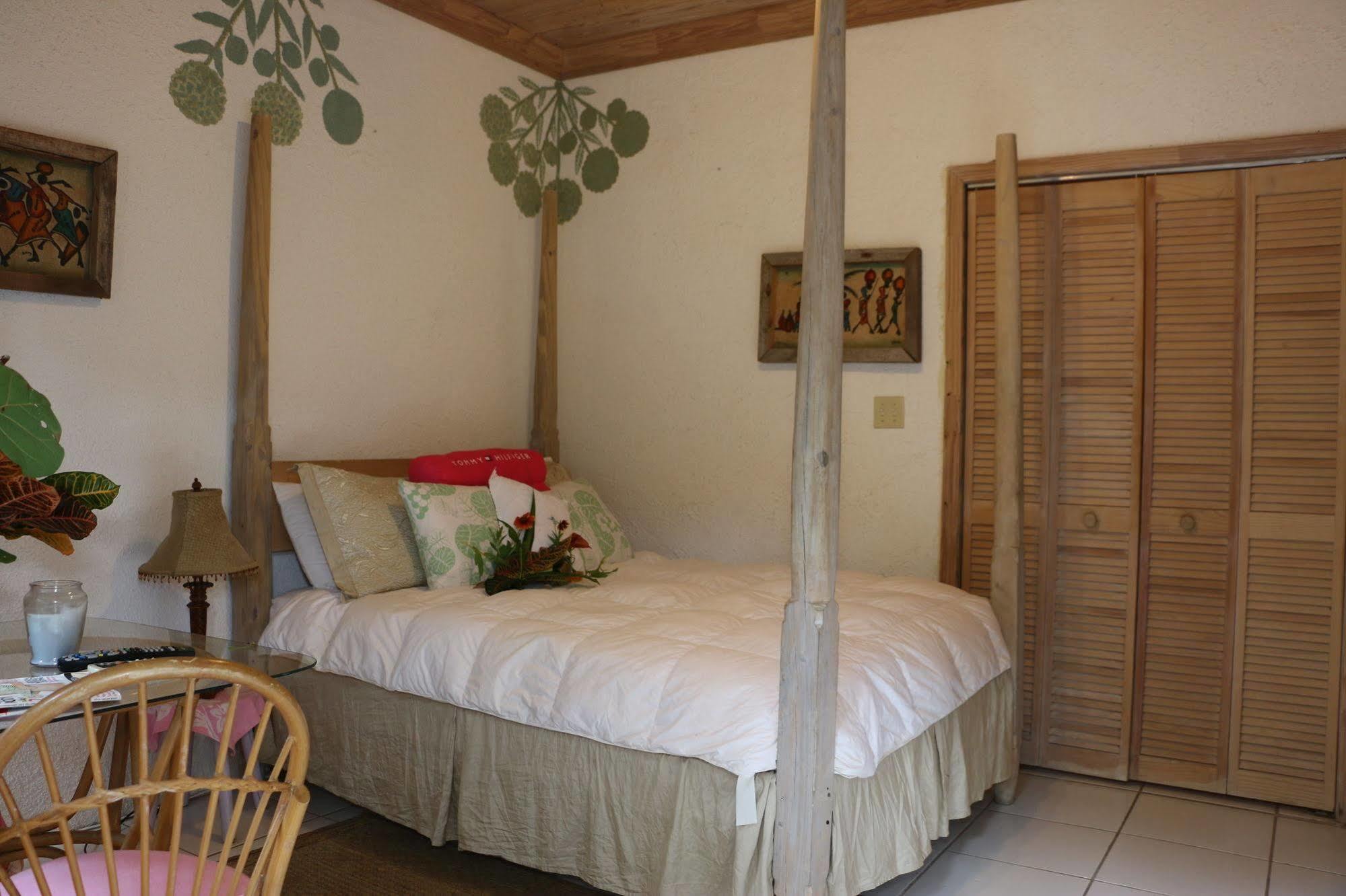 The Sugar Apple Lodging Dunmore Town Exterior photo