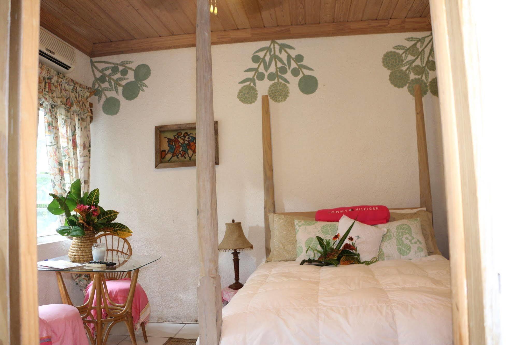 The Sugar Apple Lodging Dunmore Town Exterior photo