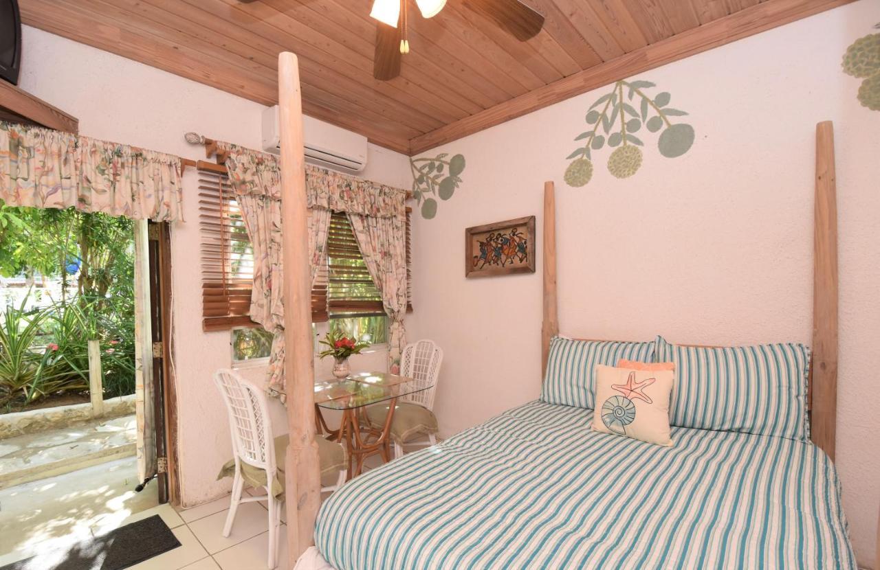 The Sugar Apple Lodging Dunmore Town Exterior photo