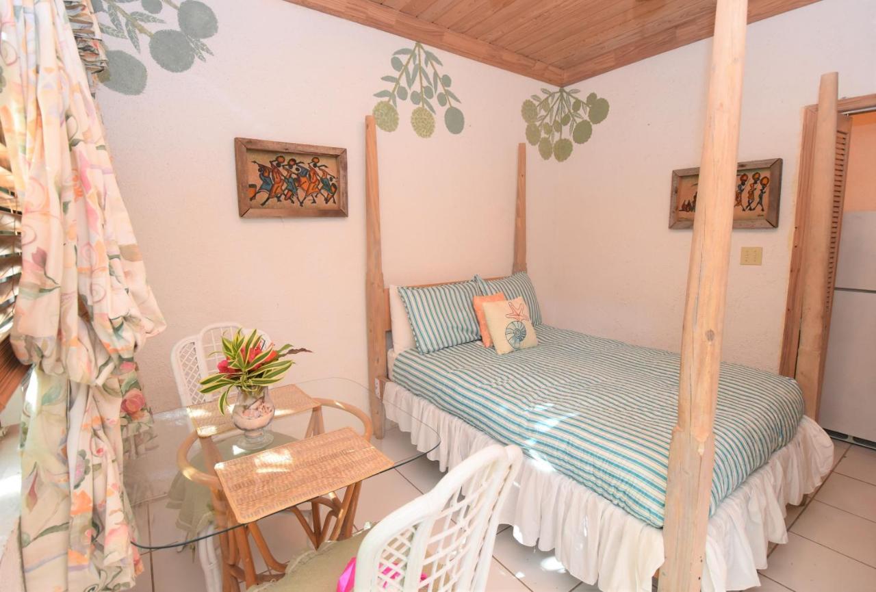 The Sugar Apple Lodging Dunmore Town Exterior photo
