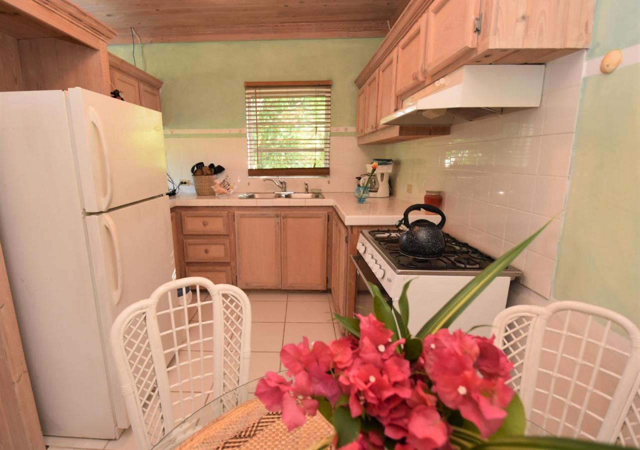 The Sugar Apple Lodging Dunmore Town Exterior photo
